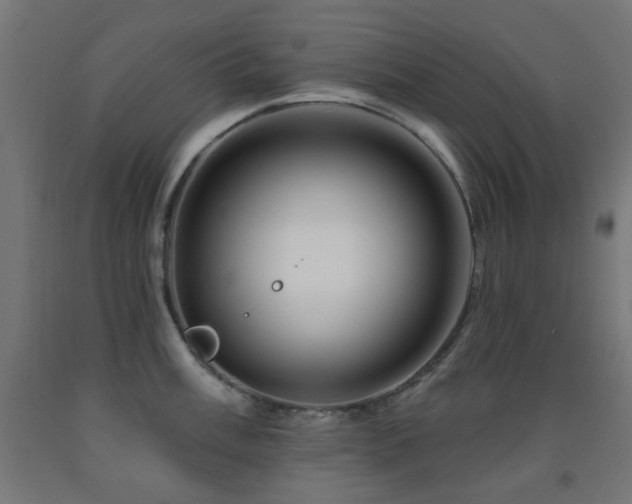X0000093141003200709261421