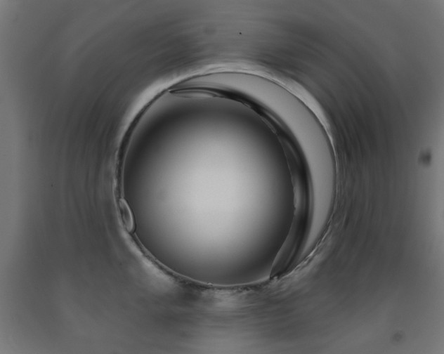 X0000093141005200709261421