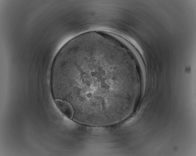 X0000093141007200709261421