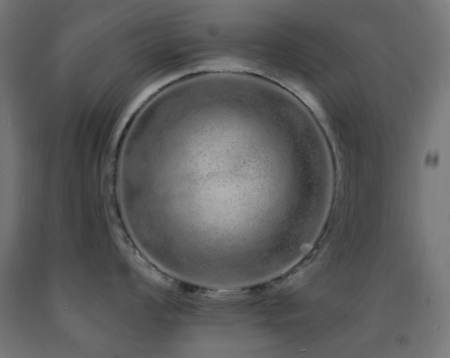 X0000093141008200709261421