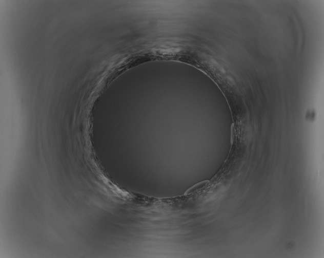 X0000093141009200709261420
