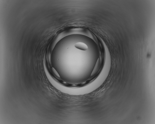 X0000093141010200709261420