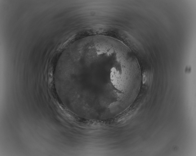 X0000093141011200709261420