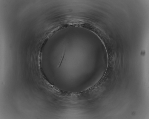 X0000093141013200709261420