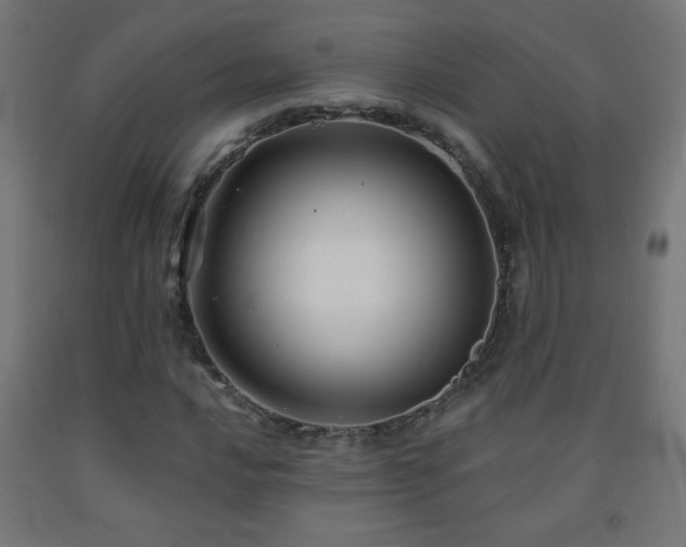 X0000093141016200709261420