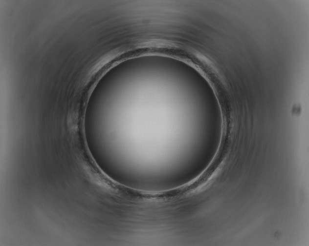 X0000093141017200709261420
