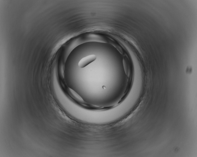 X0000093141018200709261420