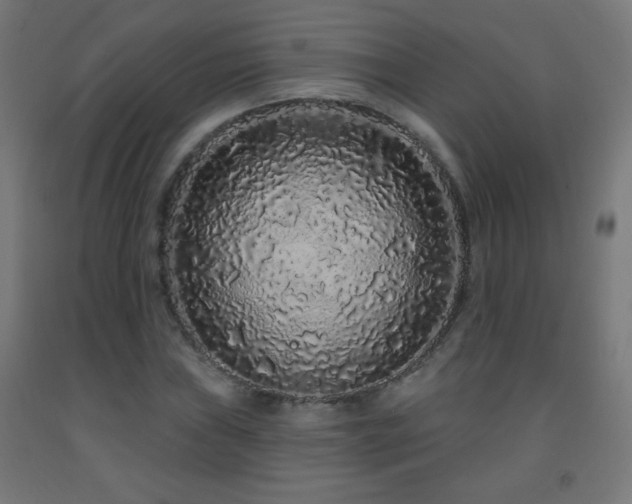 X0000093141019200709261420