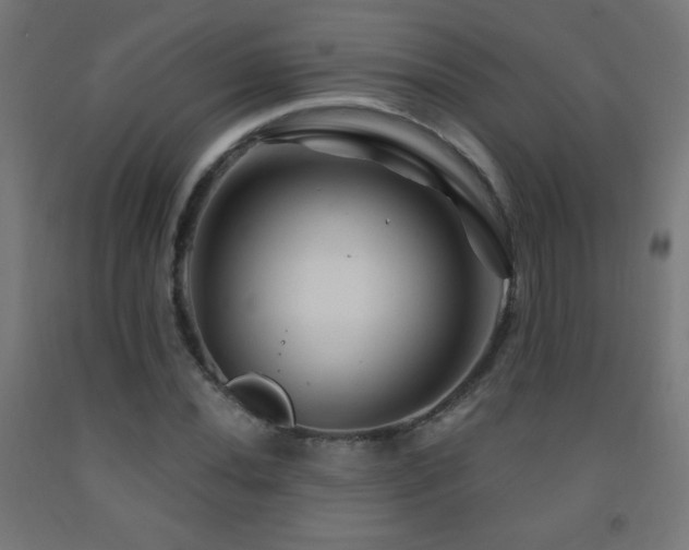 X0000093141020200709261420