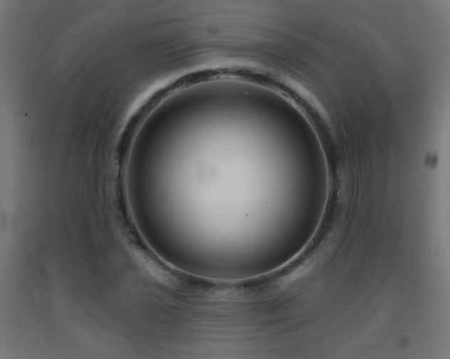 X0000093141021200709261420