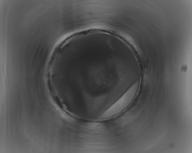 X0000093141024200709261420