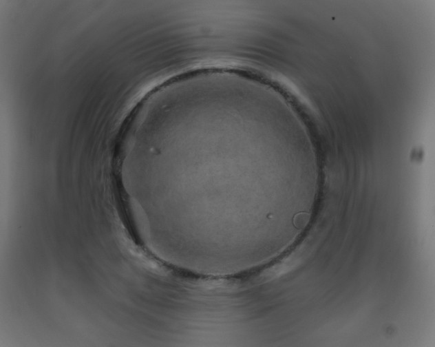 X0000093141025200709261420