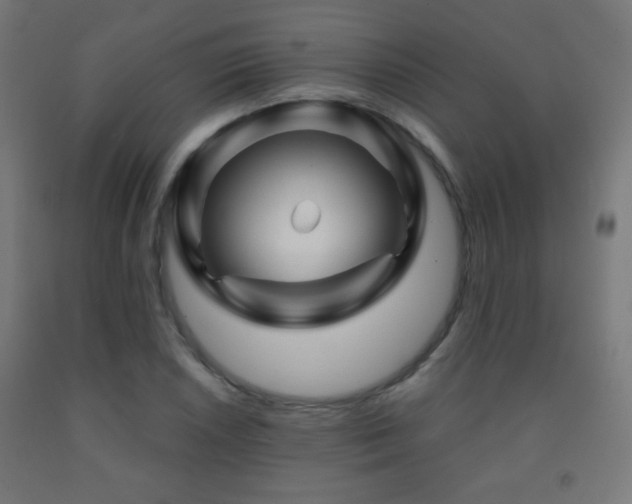 X0000093141026200709261420