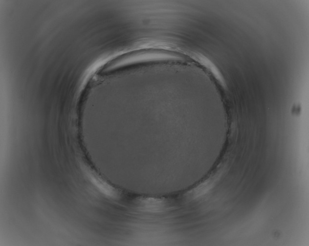 X0000093141027200709261420
