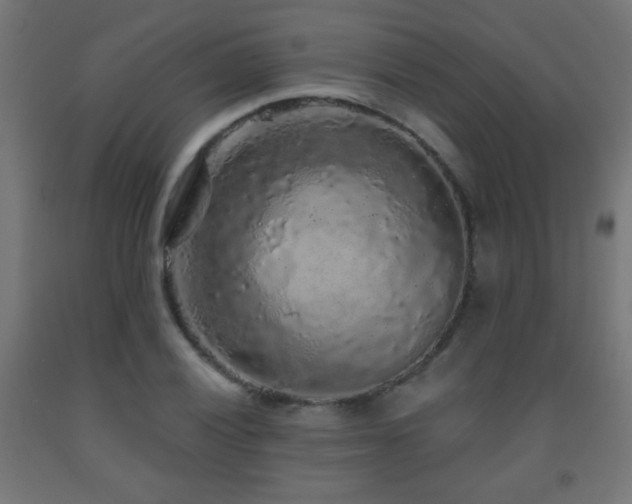 X0000093141028200709261420