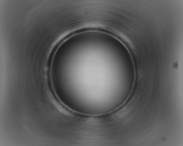 X0000093141029200709261420