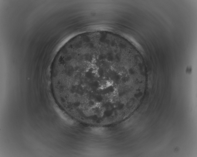 X0000093141031200709261420