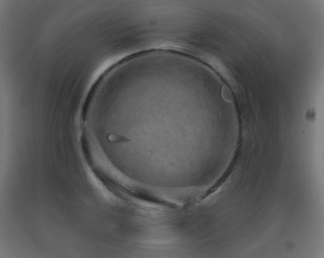 X0000093141032200709261420