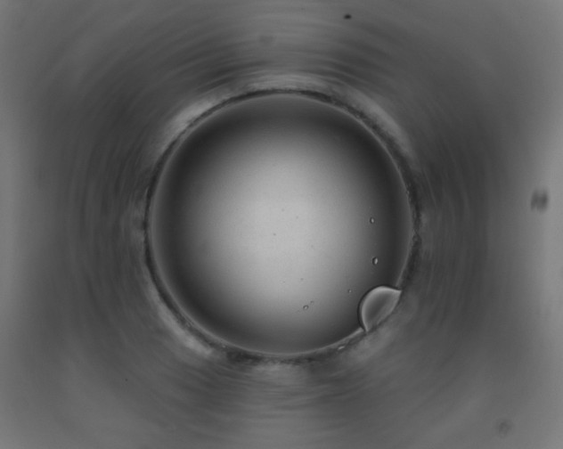 X0000093141033200709261420