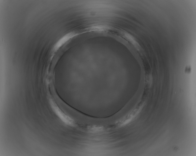 X0000093141034200709261420