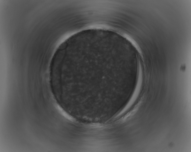 X0000093141037200709261420