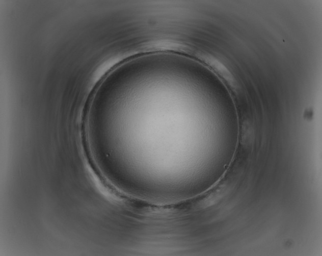 X0000093141039200709261420