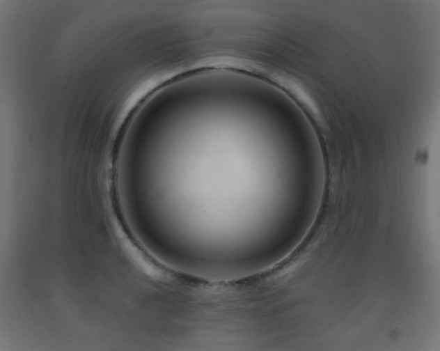 X0000093141040200709261420