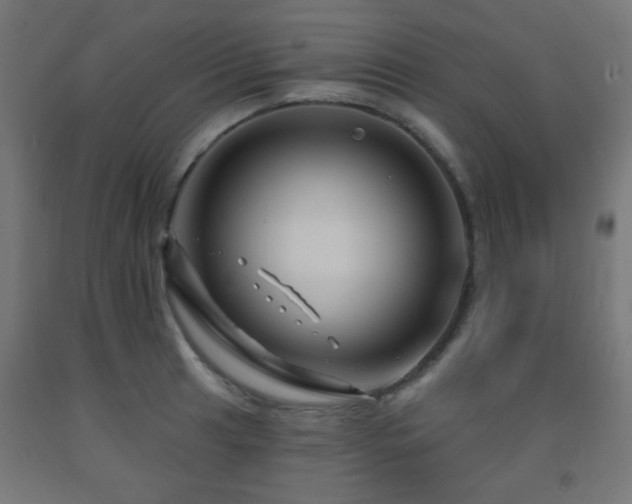 X0000093141041200709261420