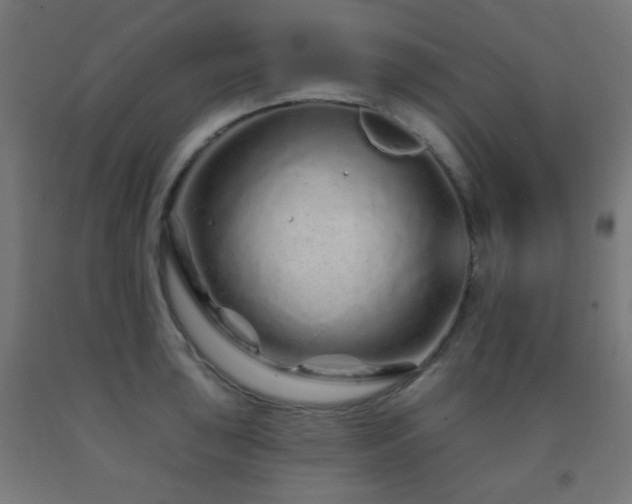 X0000093141043200709261420