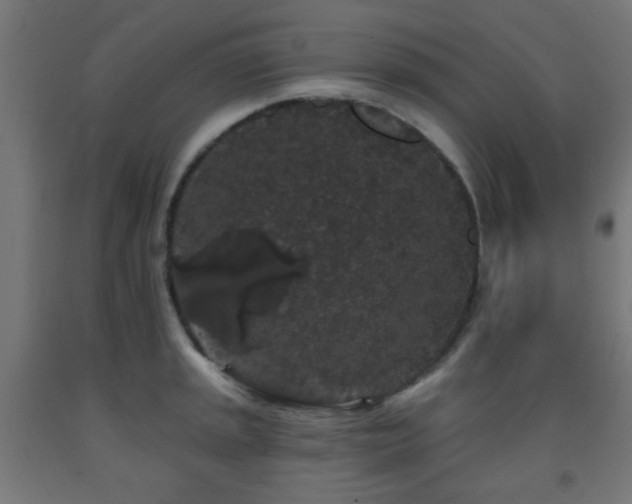 X0000093141045200709261420