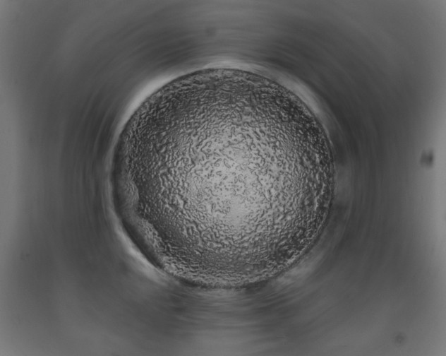 X0000093141048200709261420