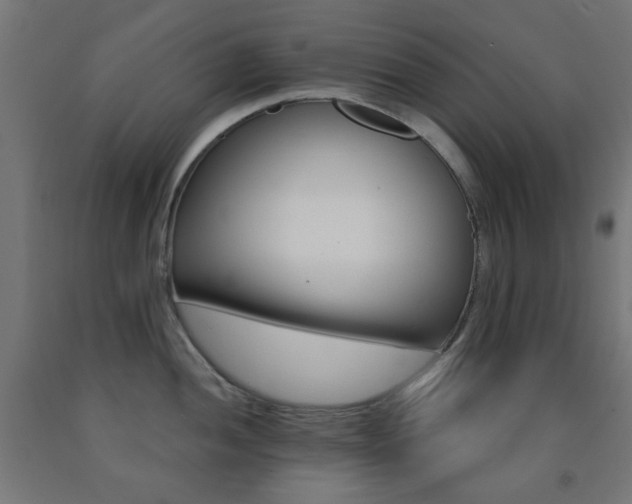 X0000093141052200709261421