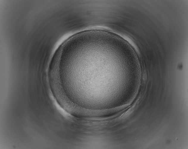 X0000093141054200709261421
