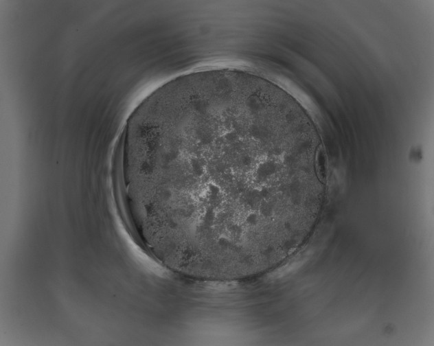 X0000093141055200709261421
