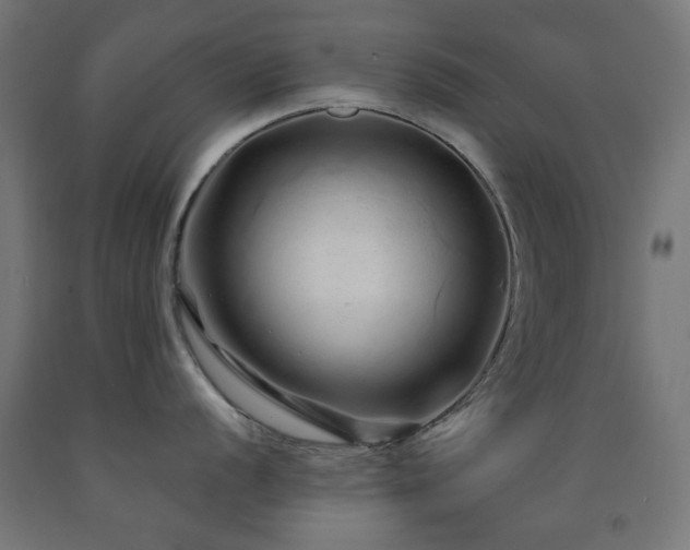 X0000093141056200709261421