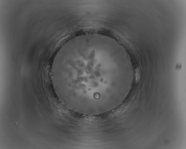 X0000093141059200709261420