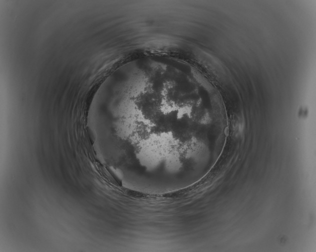 X0000093141060200709261420