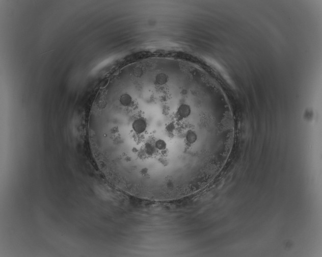 X0000093141063200709261420