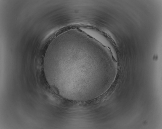 X0000093141064200709261420