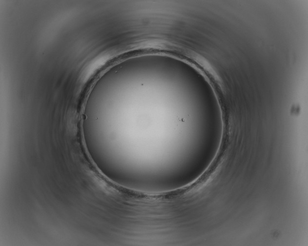 X0000093141067200709261420