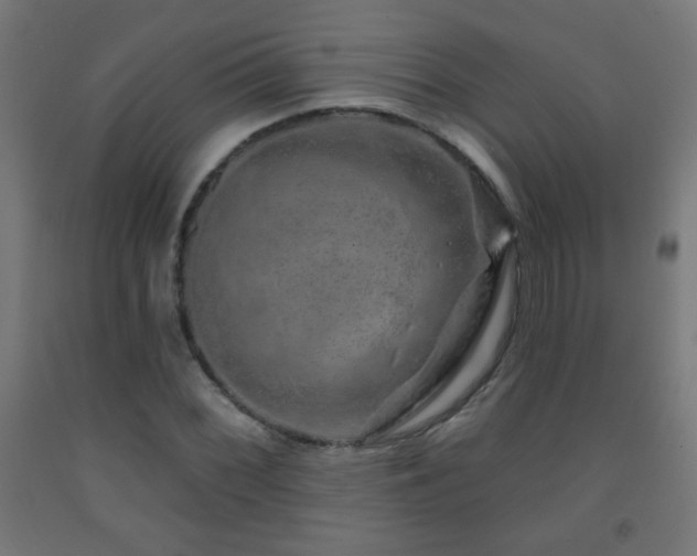 X0000093141068200709261420