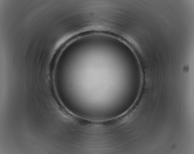 X0000093141070200709261420