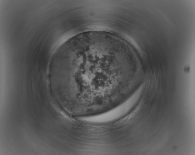 X0000093141071200709261420