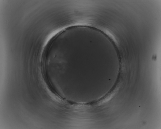 X0000093141077200709261420