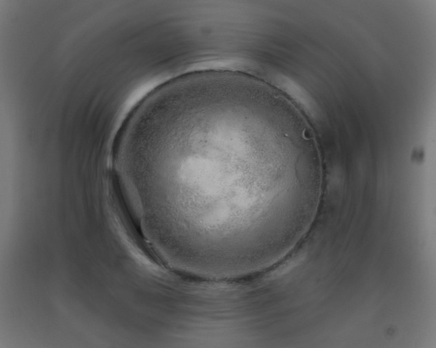 X0000093141079200709261420