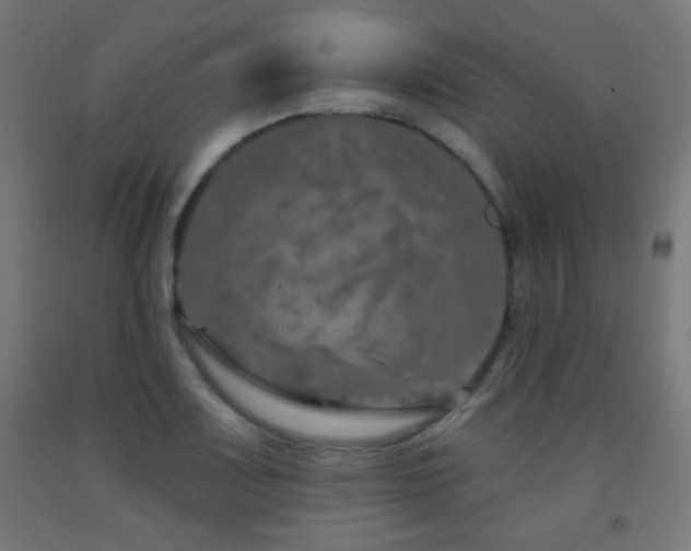 X0000093141083200709261420