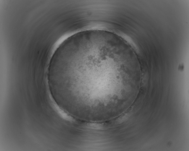 X0000093141086200709261420