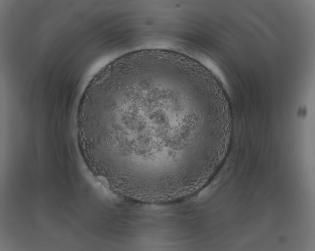 X0000093141088200709261420