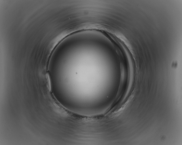 X0000093141089200709261420