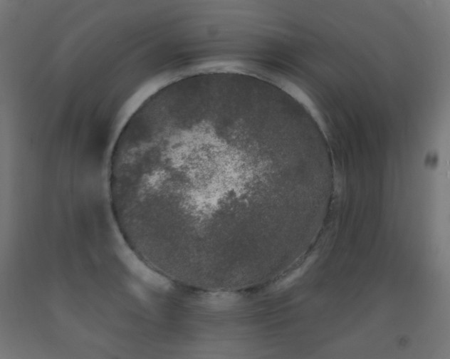 X0000093141090200709261420